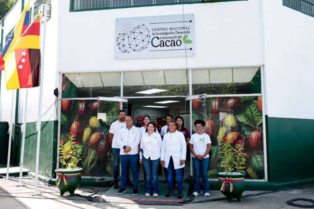 cacao