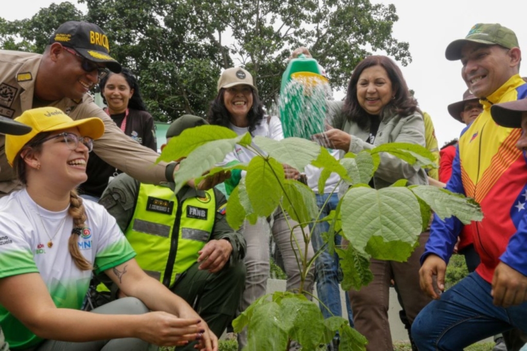 Plan-de-Arborización-en-Caracas-comienza-2