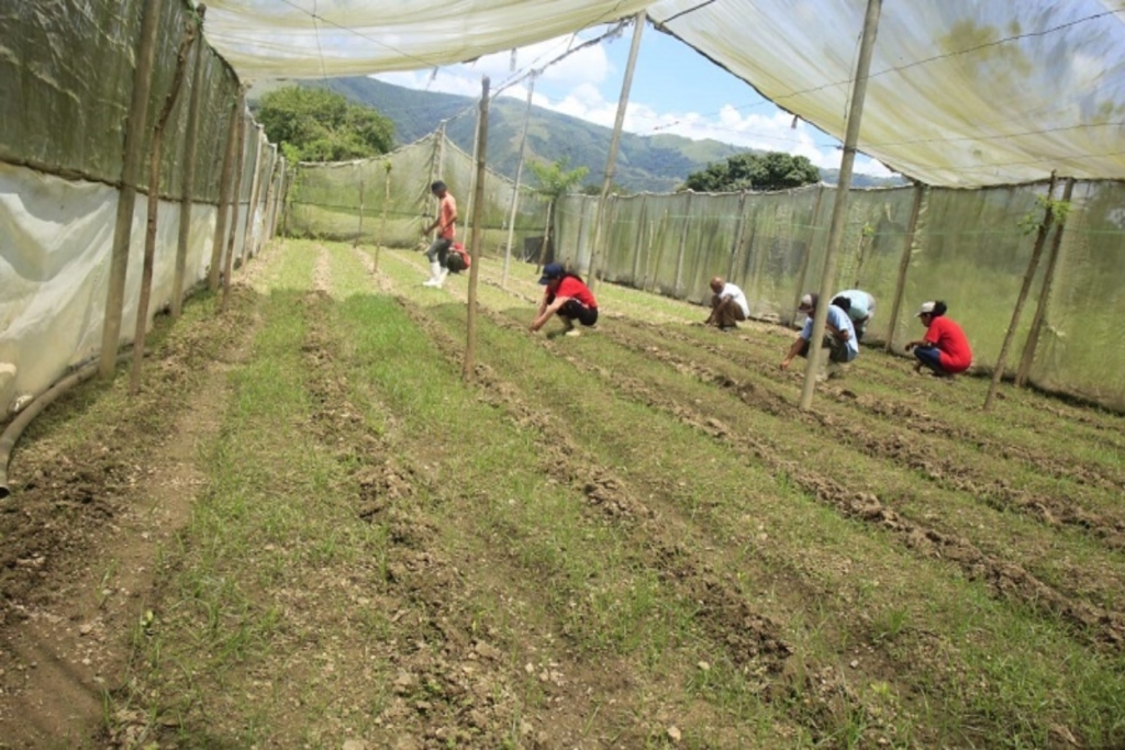 Reactivan-Fundo-Zamorano-Jose-Rafael-Revenga-en-Aragua