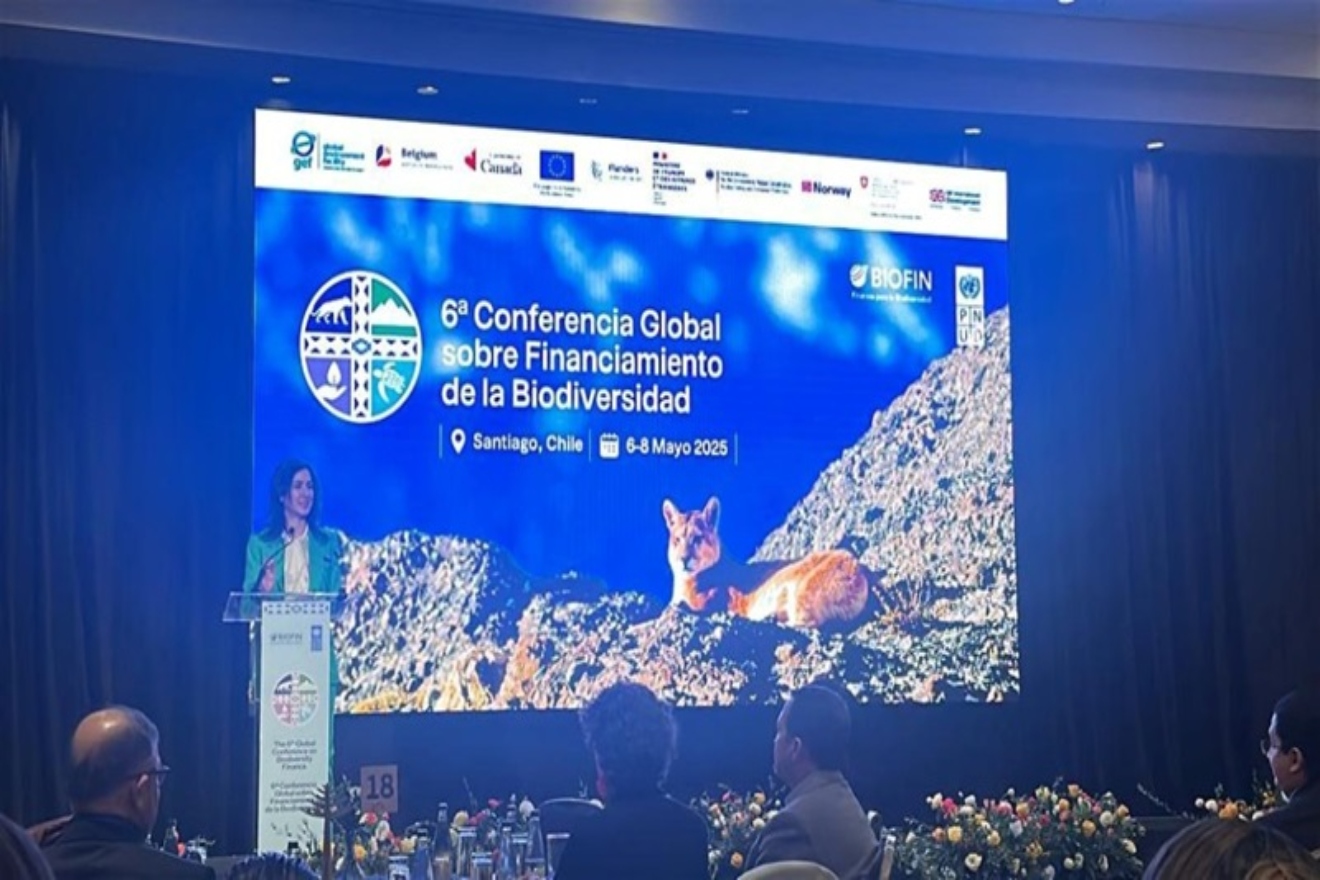 Biodiversidad