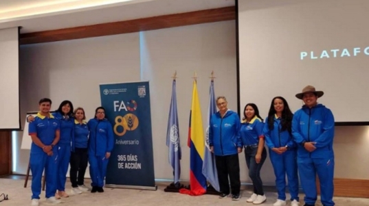 monitoreo forestal (1)