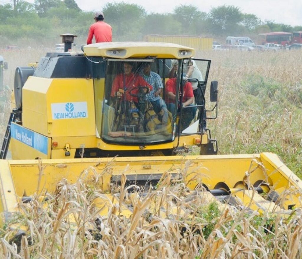 Guárico se posiciona como mayor productor de cereales en todo el país